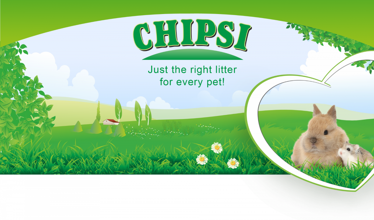 CHIPSI
