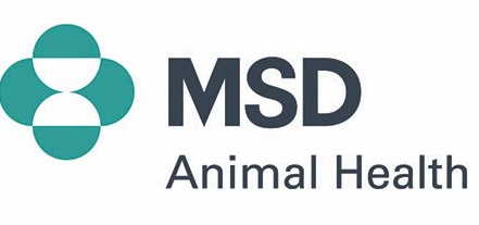 MSD