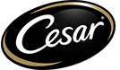 CESAR
