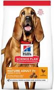 HILL'S DOG SENIOR MEDIUM LIGHT KG 12