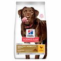 HILL'S DOG HEALTY MOBILITY LARGE KG 12