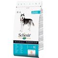 SCHESIR DOG MEDIUM PESCE KG 3