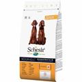 SCHESIR DOG MEDIUM POLLO KG 12