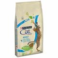 CAT CHOW SALMONE KG 10