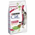 CAT CHOW URINARY KG 10