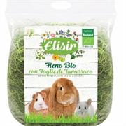 BUNNY FIENO FRESCO FOGLIE TARASSACO GR 250