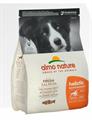 ALMO DOG MEDIUM-LARGE SALMONE/RISO KG 2