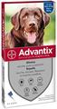 ADVANTIX 25/40 4 PIPETTE