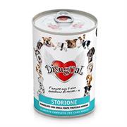 DISUGUAL DOG STORIONE GR 400