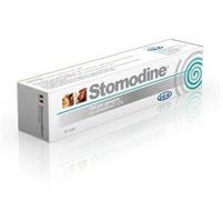STOMODINE GEL ML 30