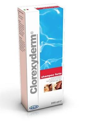 CLOREXYDERM SHAMPO FORTE ML 200