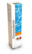 CLOREXYDERM SOLUZIONE ML 500