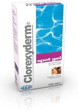 CLOREXYDERM SPOT GEL ML 100