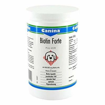 BIOTIN FORTE POLVERE GR 500