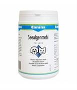 SEEALGEN TAVOLETTE KG 5