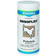 MESOFLEX POLVERE GR 100