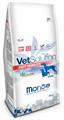 MONGE DOG MOBILITY KG 2