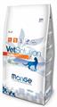 MONGE CAT RENAL KG 1,5