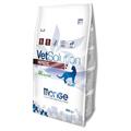 MONGE CAT HEPATIC GR 400