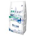MONGE CAT DIABETIC GR 400