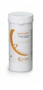 AVIS CANTO GR 100