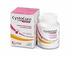 CYSTOCURE FORTE POLVERE GR 30