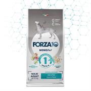 FORZA 10 MAXI DIET PESCE KG 12