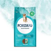 FORZA 10 MEDIUM MANTENIMENTO PESCE KG 2