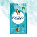 FORZA 10 MINI MANTENIMENTO PESCE KG 2