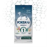 FORZA 10 MEDIUM DIET CERVO/PATATE KG 12