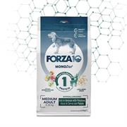 FORZA 10 MEDIUM DIET CERVO/PATATE KG 1,5