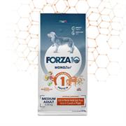 FORZA 10 DOG MEDIUM DIET LOW GRAIN CAVALLO/PISELLI KG 12