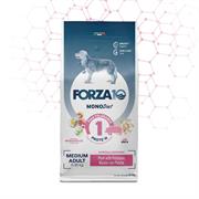 FORZA 10 DOG DIET LOW GRAIN MAIALE/PATATE KG 12