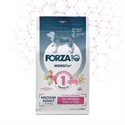 FORZA 10 DOG MEDIUM DIET LOW GRAIN MAIALE/PATATE KG 1,5