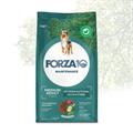 FORZA 10 MEDIUM MANTENIMENTO CERVO/PATATE KG 2