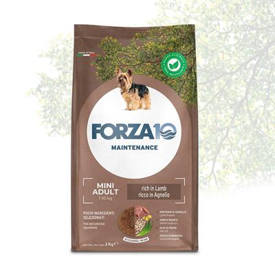 FORZA 10 MINI MANTENIMENTO AGNELLO/RISO KG 2