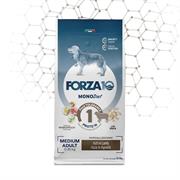 FORZA 10 MEDIUM DIET AGNELLO KG 12