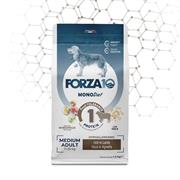 FORZA 10 MEDIUM DIET AGNELLO KG 1,5