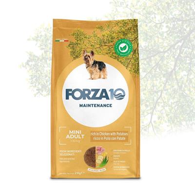 FORZA 10 MINI MANTENIMENTO POLLO/PATATE KG 2