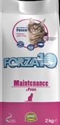 FORZA 10 CAT MANTENIMENTO PESCE KG 2