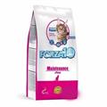 FORZA 10 CAT MANTENIMENTO PESCE KG 10