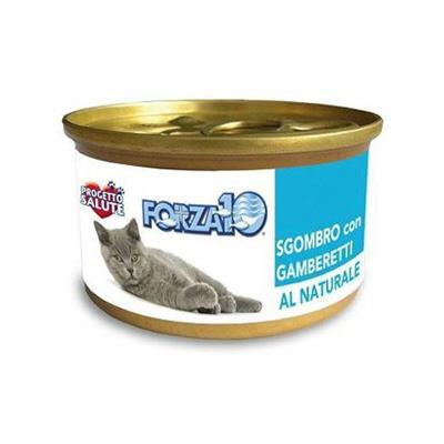FORZA 10 CAT SGOMBRO/GAMBERETTI GR 75