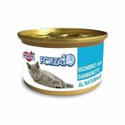 FORZA 10 CAT SGOMBRO/GAMBERETTI GR 75