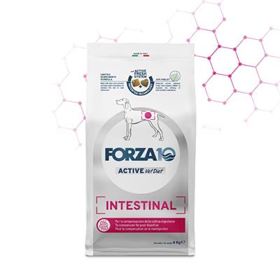 FORZA 10 INTESTINAL ACTIVE KG 4