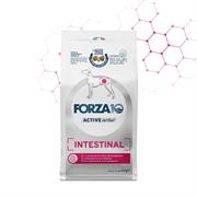 FORZA 10 INTESTINAL ACTIVE KG 4