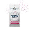 FORZA 10 INTESTINAL ACTIVE KG 4