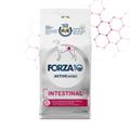 FORZA 10 INTESTINAL ACTIVE KG 10