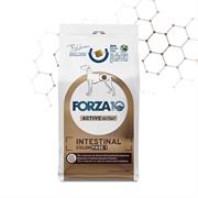 FORZA 10 INTESTINAL COLON FASE I KG 4