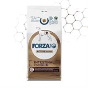 FORZA 10 INTESTINAL COLON FASE I KG 10