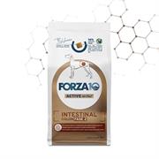FORZA 10 INTESTINAL COLON FASE II KG 4